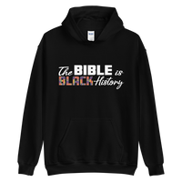 The Bible is BH Hoodie