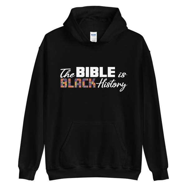 The Bible is BH Hoodie